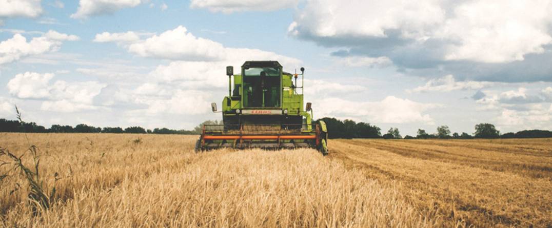 Harvesting Crop - Farm Insurance